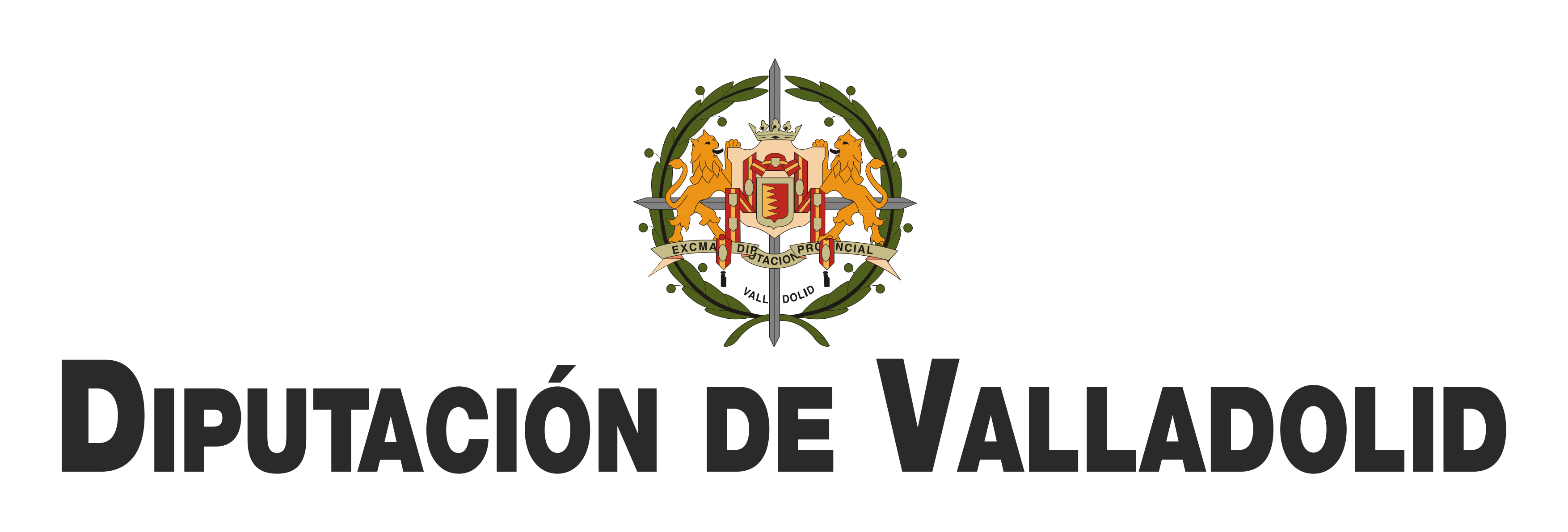 Logo de Diputación de Valladolid