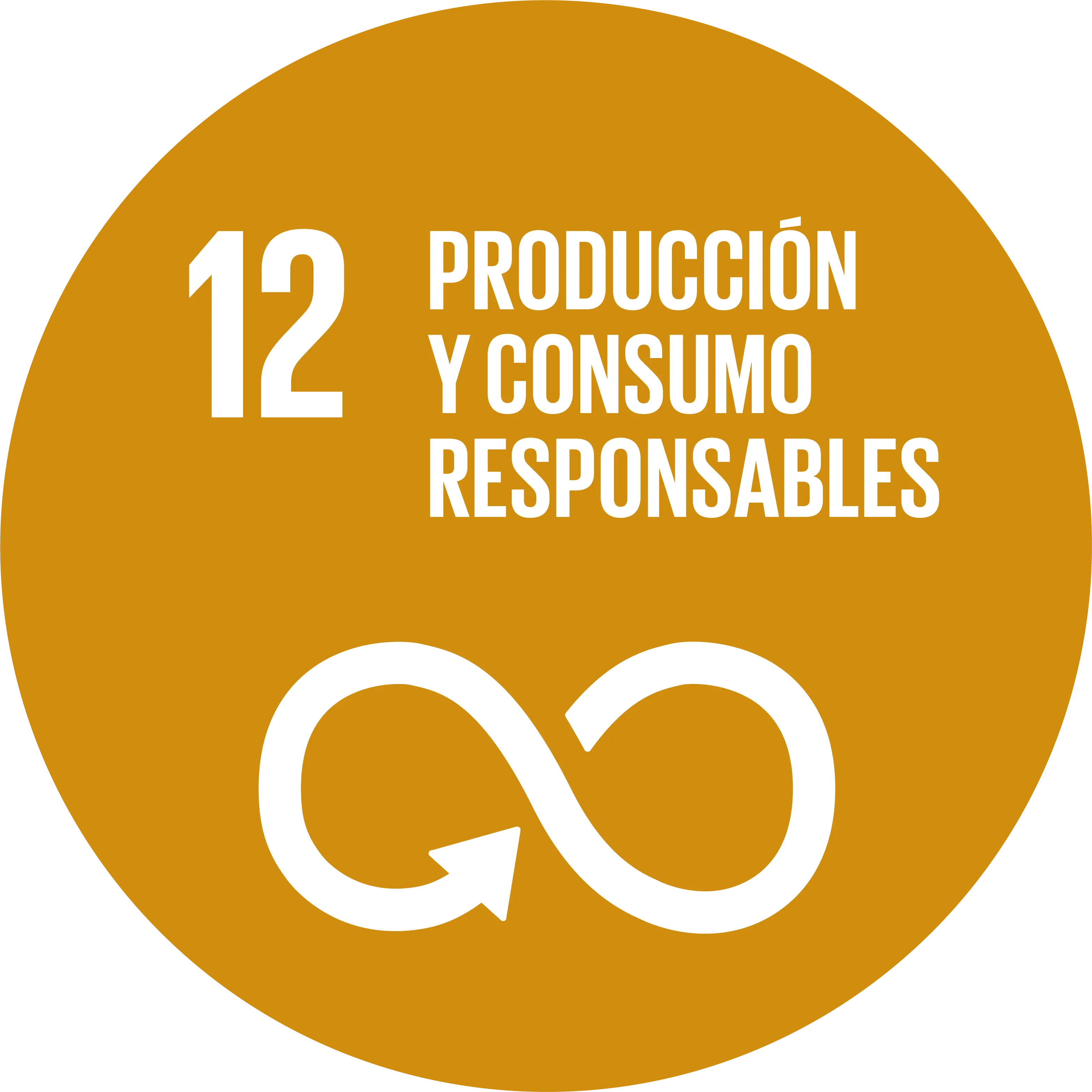 ODS 12 - Producción y Consumo Responsables